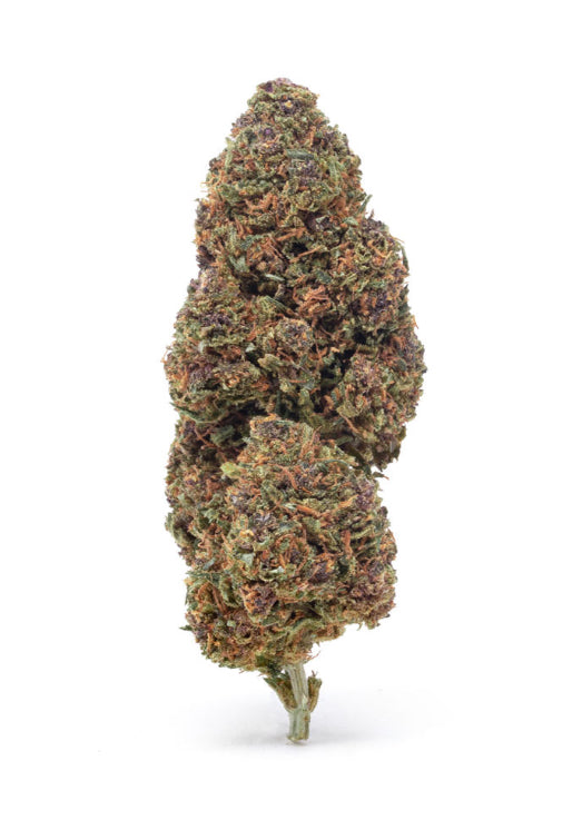 Pink Panther - Cbd - Cannabis Light - Outdoor - Novità