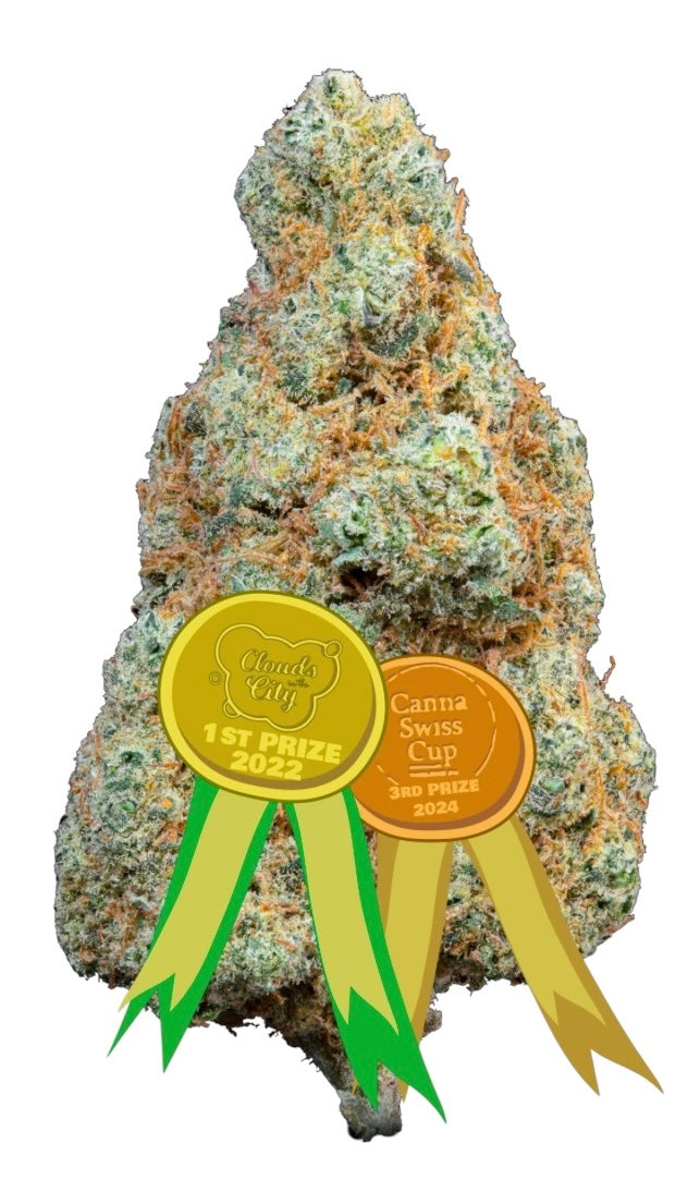 GORILLA MANDARINE | CBD | CANNABIS LIGHT | TOP QUALITY