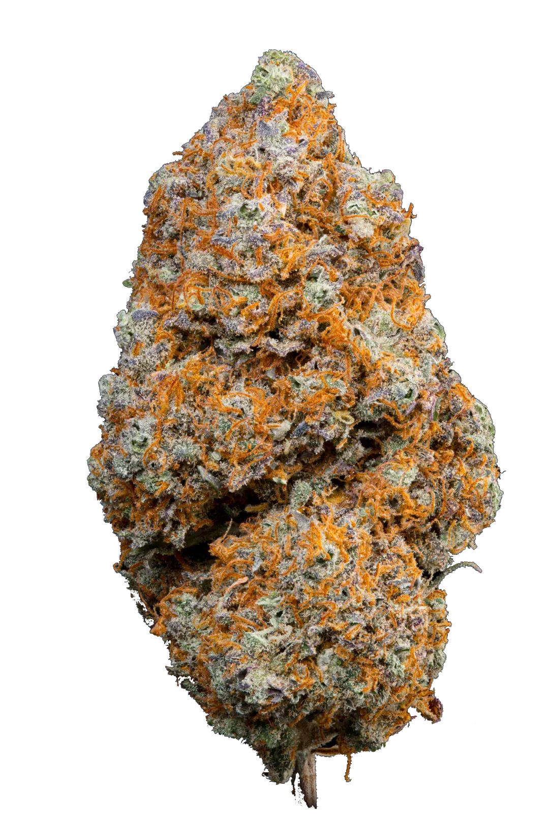 TROPICAL DREAM | CBD | CANNABIS LIGHT | INDOOR TOP QUALITY