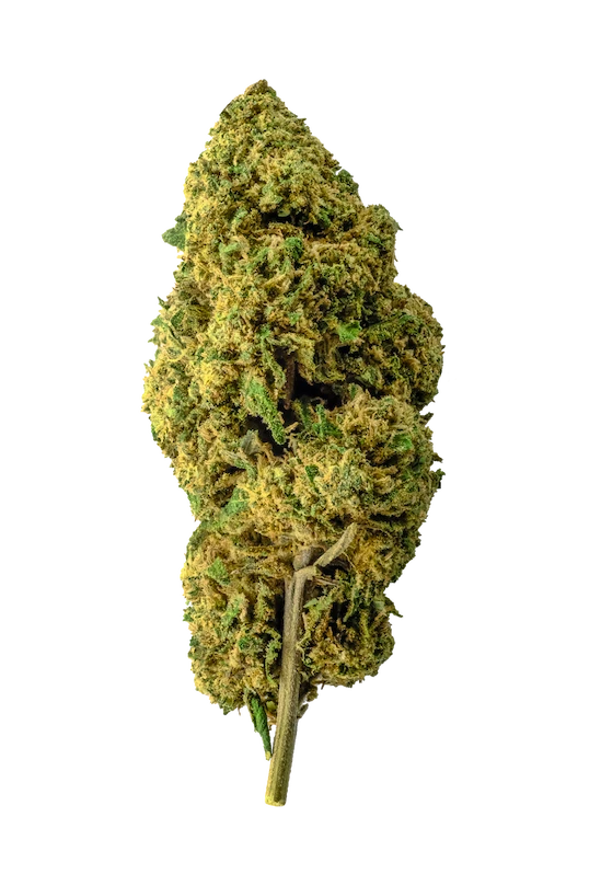 Bubblegum - Cbd - Cannabis Light - Outdoor - Novità