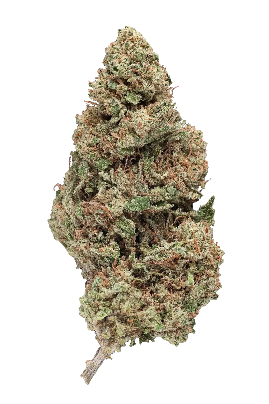 Lemon Haze - Cbd- Cannabis Light - Greenhouse - Novità