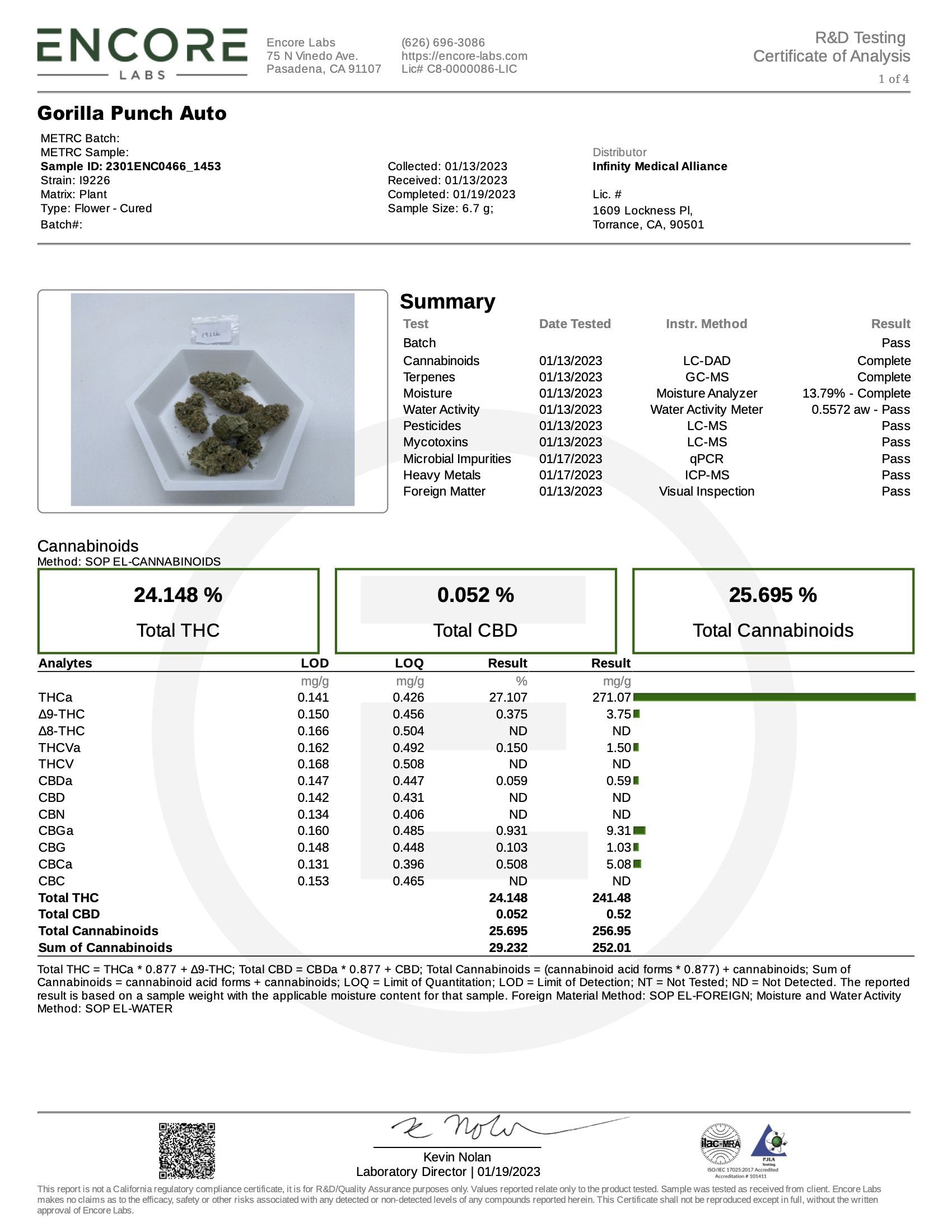 Fast Bud 420 - Gorilla Punch Auto - Semi Di Cannabis Autofiorenti