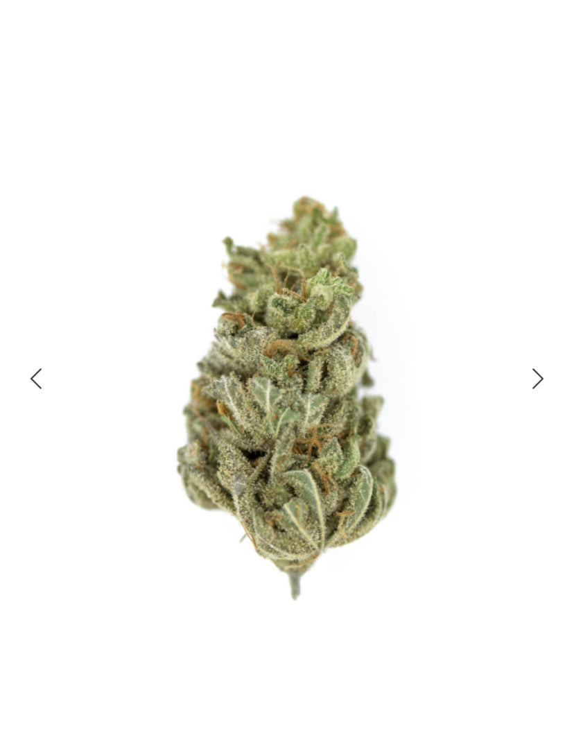 AMNESIA HAZE ROYAL QUEEN SEEDS FEM (Copy)