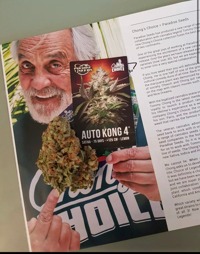 AUTO KONG PARADISE SEEDS