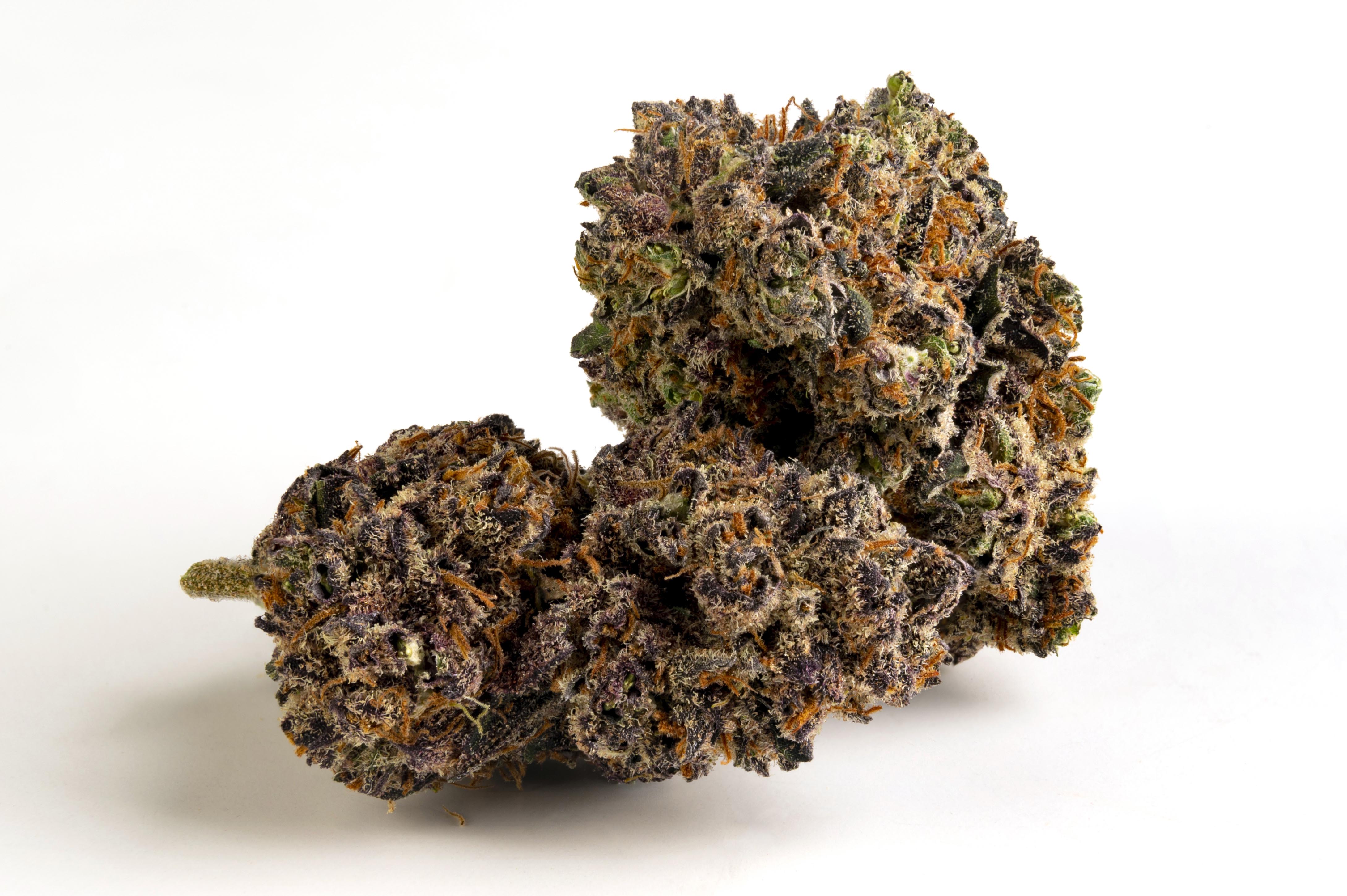 PURPLE HAZE | CBD | CANNABIS LEGALE | TOP QUALITY U.S.A 🇺🇸