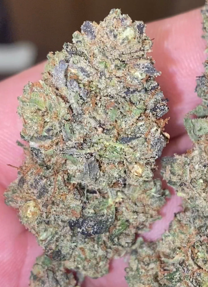 Purple Kush Pop - Cannabis Light - Cbd - Top Quality - U.S.A 🇺🇸