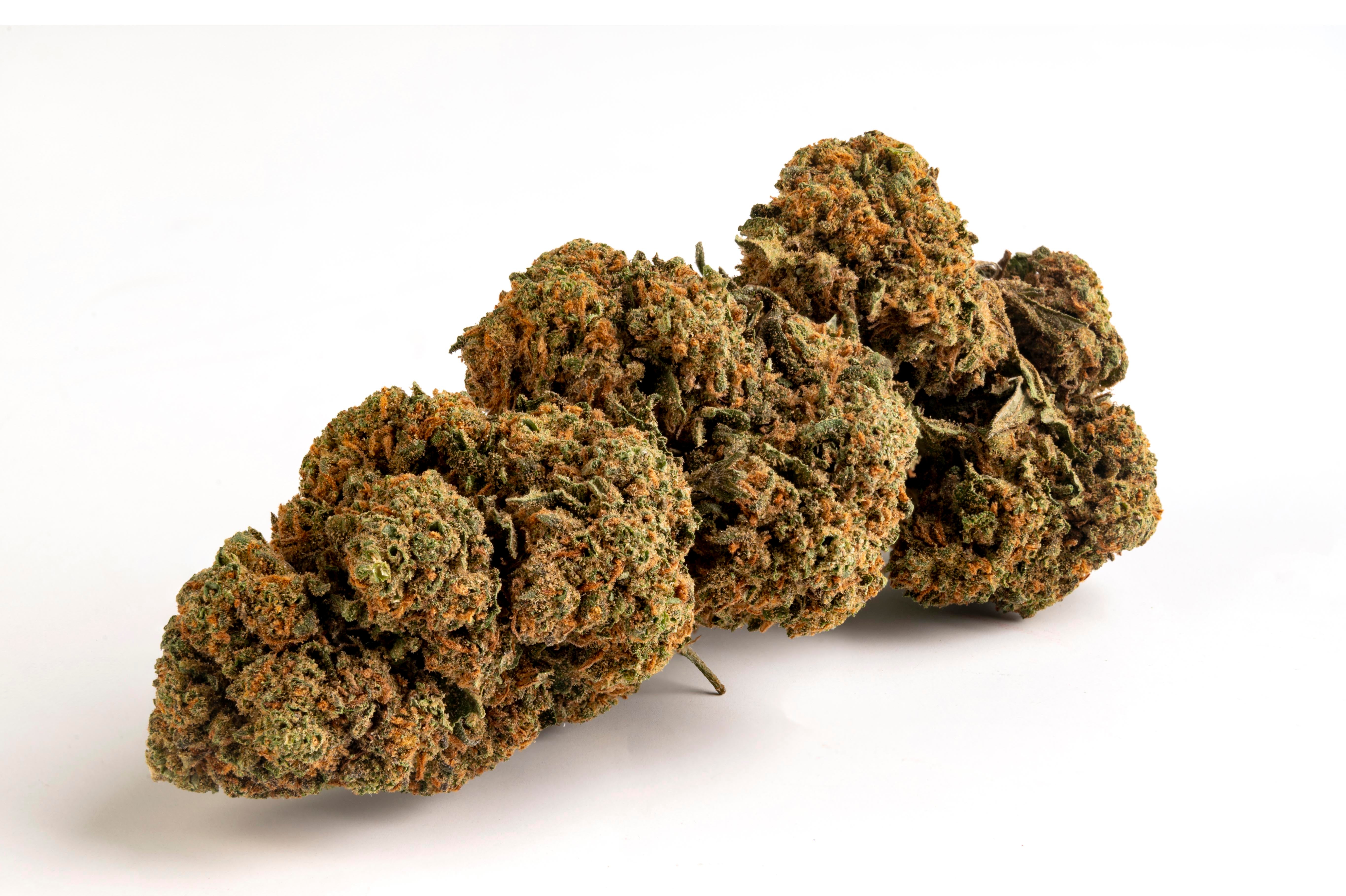 ORANGE BUD | CANNABIS LEGALE | CBD | OUTDOOR