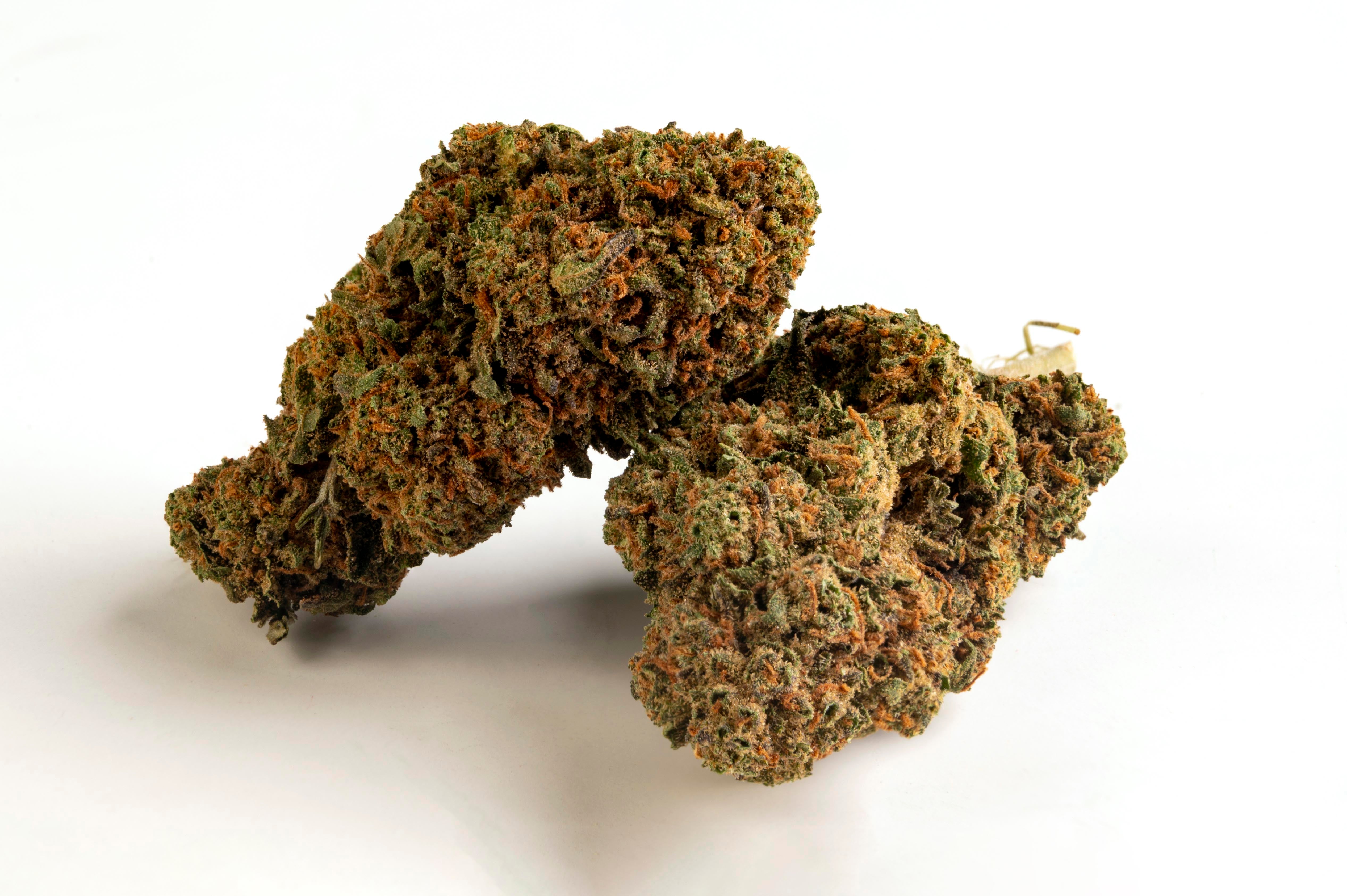 ORANGE BUD | CANNABIS LEGALE | CBD | OUTDOOR